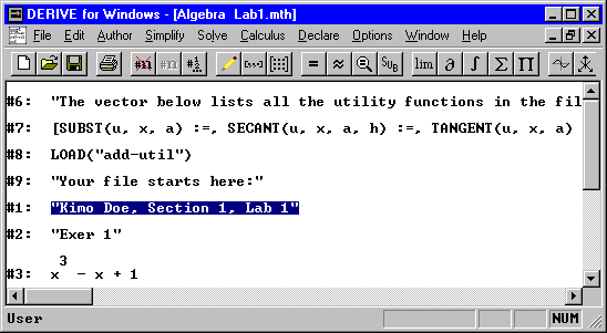 f-lab1.gif (9355 bytes)