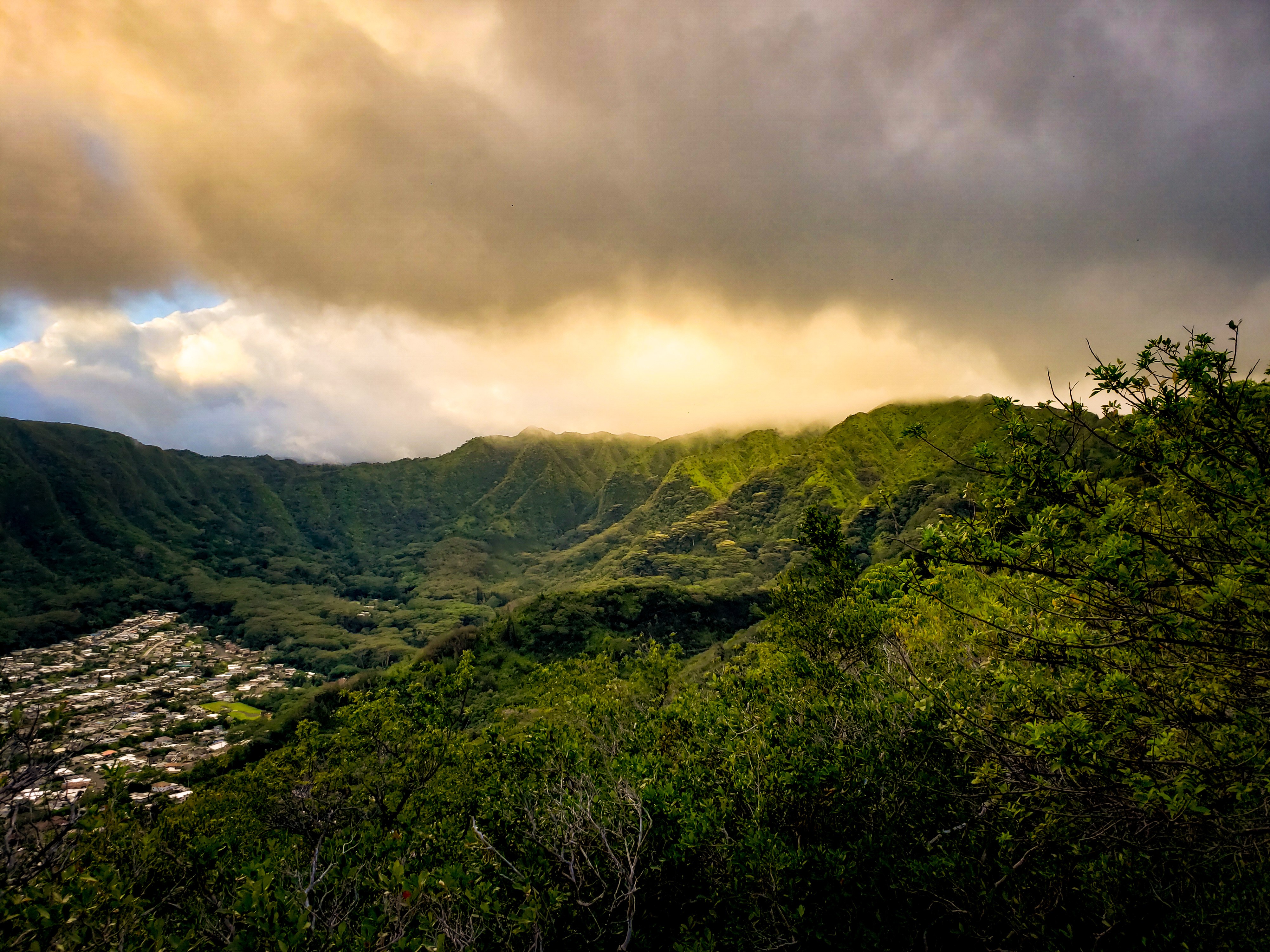 Photo overlooking Mānoa from Saint Louis Heights